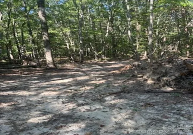 Photo 3 of Land for sale at Tbd Bud Arndt Rd, Maiden, NC 28650 | MLS# 4413162 | Listing updated on 2026-09-18