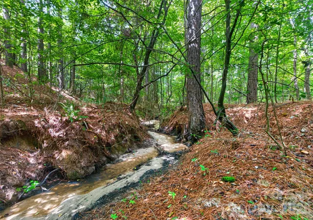 Photo 3 of Land for sale at 0000 Westbrook Rd #5, Edgemoor, SC 29712 | MLS# 4413177 | Listing updated on 2026-08-26