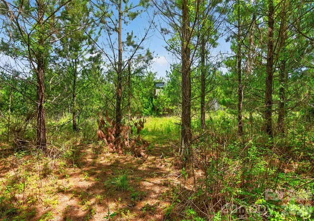 48th image of 0000 Westbrook Rd #5, Edgemoor, SC 29712 | MLS# 4413177