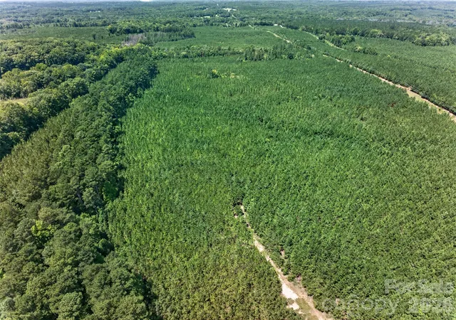 Photo 4 of Land for sale at 0000 Westbrook Rd #5, Edgemoor, SC 29712 | MLS# 4413177 | Listing updated on 2026-10-19