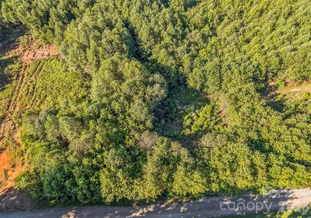 Photo 3 of Land for sale at 307 Rc Rd, Traphill, NC 28685 | MLS# 4413208 | Listing updated on 2026-08-26