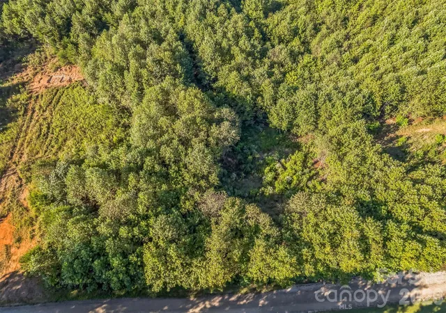 Photo 4 of Land for sale at 307 Rc Rd, Traphill, NC 28685 | MLS# 4413208 | Listing updated on 2026-08-26