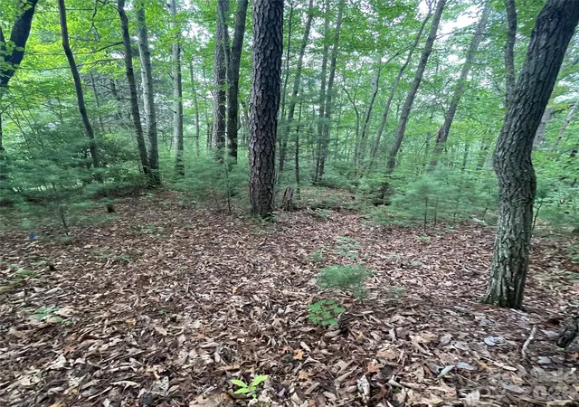 Photo 1 of Land for sale at 106 Red Mulberry Dr, Zirconia, NC 28790 | MLS# 4413235 | Listing updated on 2026-08-17