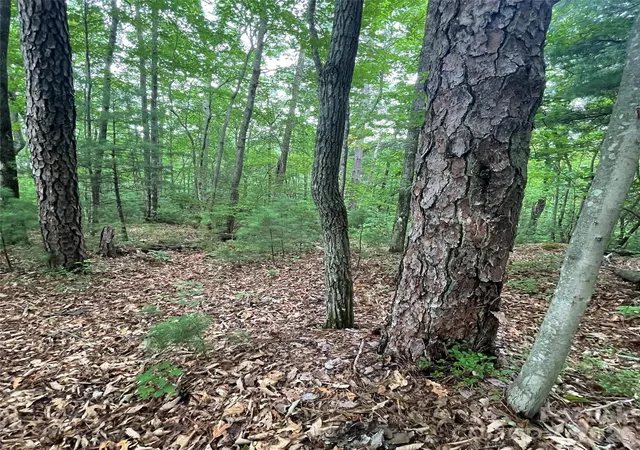 Photo 2 of Land for sale at 106 Red Mulberry Dr, Zirconia, NC 28790 | MLS# 4413235 | Listing updated on 2026-08-17