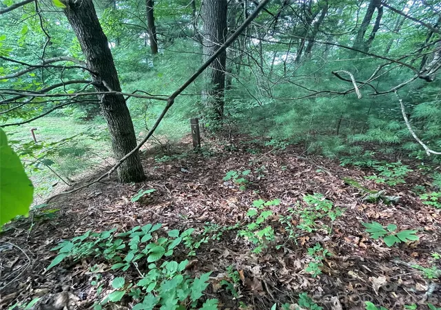 Photo 3 of Land for sale at 106 Red Mulberry Dr, Zirconia, NC 28790 | MLS# 4413235 | Listing updated on 2026-08-17