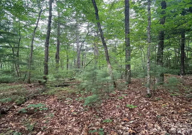 Photo 3 of Land for sale at 106 Red Mulberry Dr, Zirconia, NC 28790 | MLS# 4413235 | Listing updated on 2026-08-17