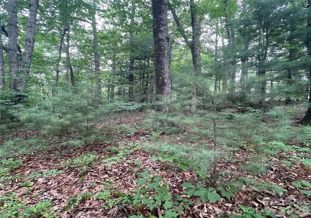 Photo 4 of Land for sale at 106 Red Mulberry Dr, Zirconia, NC 28790 | MLS# 4413235 | Listing updated on 2026-08-17