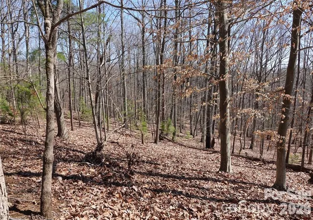 5th image of 14427 Roe Buck Meadow Ln, Charlotte, NC 28278 | MLS# 4413243