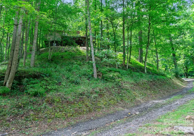 Photo 1 of Single family home for sale at 9851 Double Is Rd, Green Mountain, NC 28740 | MLS# 4413252 | Listing updated on 2026-09-03