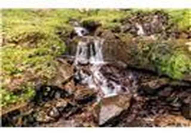 Photo 23 of Land for sale at Lot 28 Rushing Fls Way, Bryson City, NC 28713 | MLS# 4413272 | Listing updated on 2026-08-11