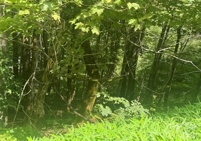 Photo 2 of Land for sale at 84 Goldenleaf Rd, Mars Hill, NC 28754 | MLS# 4413328 | Listing updated on 2026-08-11