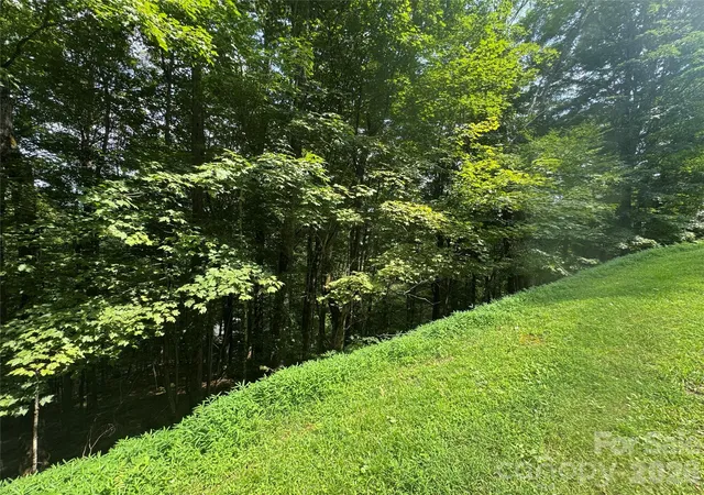 Photo 3 of Land for sale at 84 Goldenleaf Rd, Mars Hill, NC 28754 | MLS# 4413328 | Listing updated on 2026-08-11