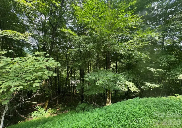 Photo 3 of Land for sale at 84 Goldenleaf Rd, Mars Hill, NC 28754 | MLS# 4413328 | Listing updated on 2026-08-11