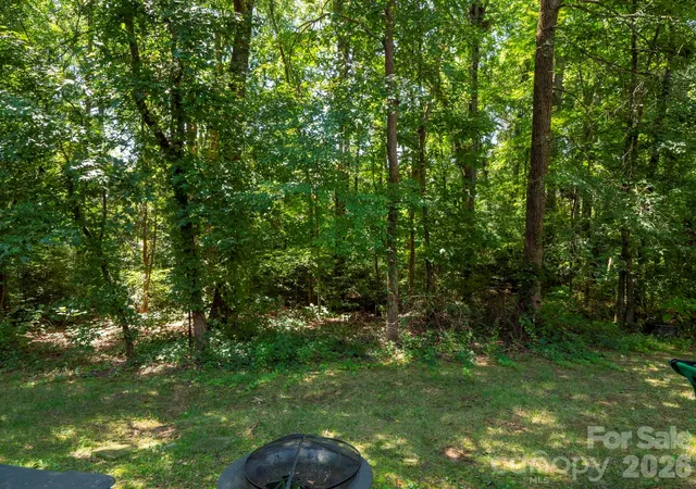 32nd image of 10747 Essex Hall Dr, Charlotte, NC 28277 | MLS# 4413338