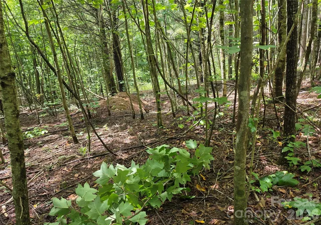 29th image of 99999 Bob Barnwell Rd, Fletcher, NC 28732 | MLS# 4413412