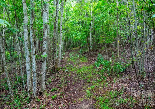 3rd image of 99999 Bob Barnwell Rd, Fletcher, NC 28732 | MLS# 4413412