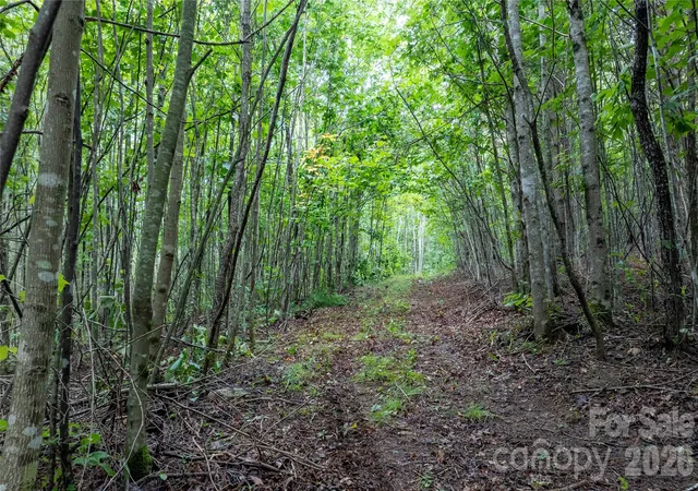 4th image of 99999 Bob Barnwell Rd, Fletcher, NC 28732 | MLS# 4413412