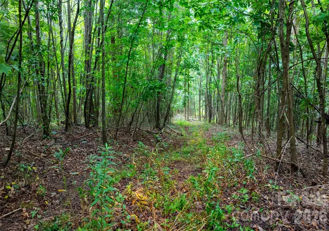 5th image of 99999 Bob Barnwell Rd, Fletcher, NC 28732 | MLS# 4413412