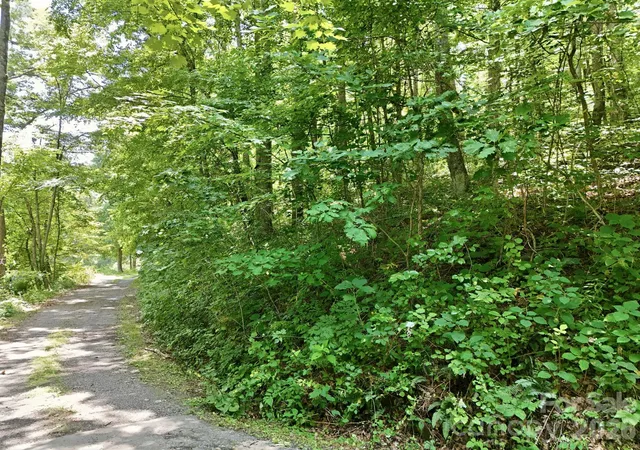 4th image of 28 Mountain Breeze Trl, Asheville, NC 28803 | MLS# 4413531