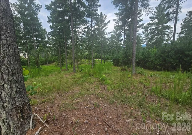 Photo 3 of Land for sale at 1884 Coveside Dr, Granite Falls, NC 28630 | MLS# 4413567 | Listing updated on 2026-08-18