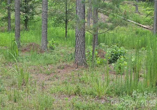 Photo 4 of Land for sale at 1884 Coveside Dr, Granite Falls, NC 28630 | MLS# 4413567 | Listing updated on 2026-08-18