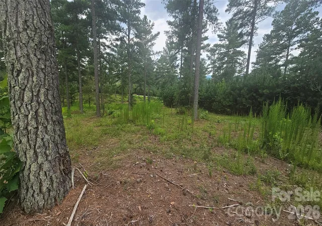 Photo 5 of Land for sale at 1884 Coveside Dr, Granite Falls, NC 28630 | MLS# 4413567 | Listing updated on 2026-08-18