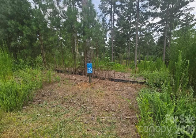 Photo 10 of Land for sale at 1884 Coveside Dr, Granite Falls, NC 28630 | MLS# 4413567 | Listing updated on 2026-08-18