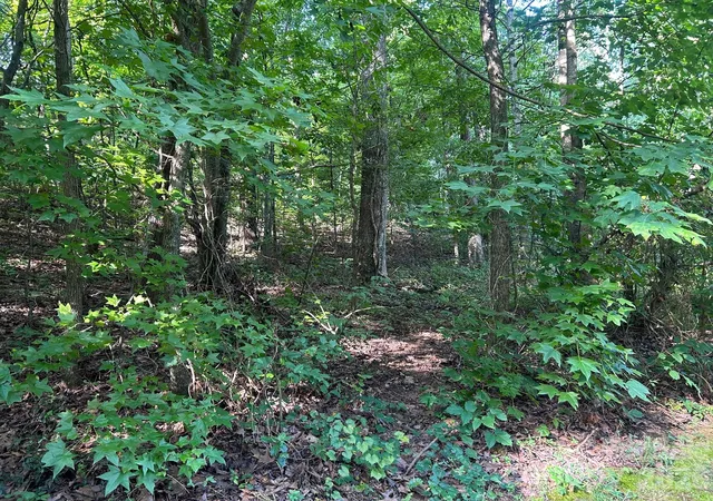 Photo 4 of Land for sale at 9730 Worley Dr #9, Charlotte, NC 28215 | MLS# 4413622 | Listing updated on 2026-08-18