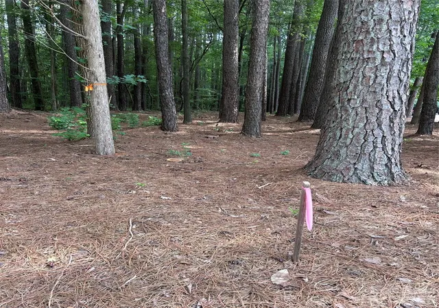 Photo 3 of Land for sale at 234 W Glenview Dr, Salisbury, NC 28147 | MLS# 4413728 | Listing updated on 2026-08-24