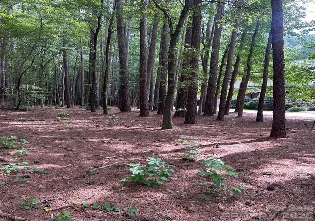 Photo 4 of Land for sale at 234 W Glenview Dr, Salisbury, NC 28147 | MLS# 4413728 | Listing updated on 2026-08-24