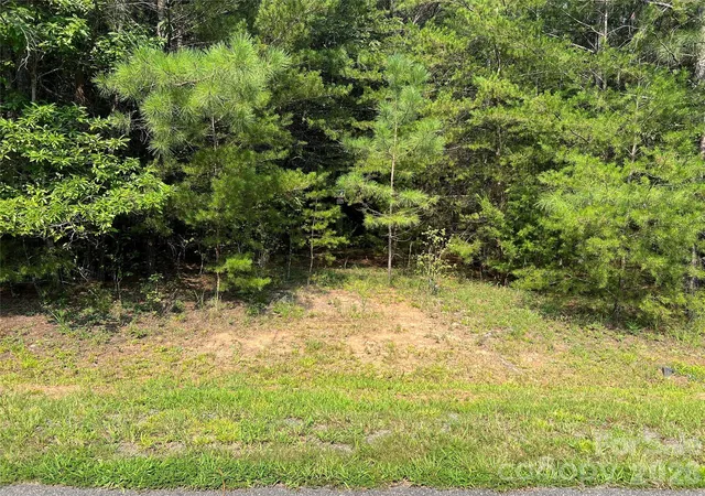 28th image of 409 North Dakota Dr #307, Rutherfordton, NC 28139 | MLS# 4413730