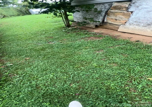 4th image of 5 Eller Cove Rd, Weaverville, NC 28787 | MLS# 4413789
