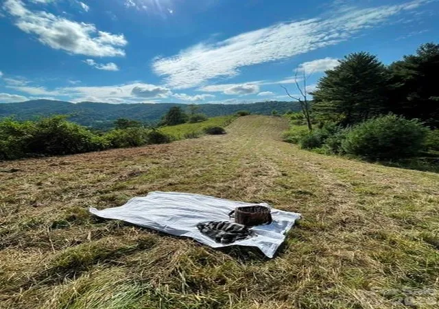 Photo 1 of Land for sale at 105 Roberts Branch Rd, Marshall, NC 28753 | MLS# 4413820 | Listing updated on 2026-09-02
