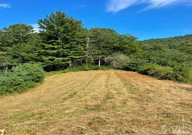 Photo 3 of Land for sale at 105 Roberts Branch Rd, Marshall, NC 28753 | MLS# 4413820 | Listing updated on 2026-09-02