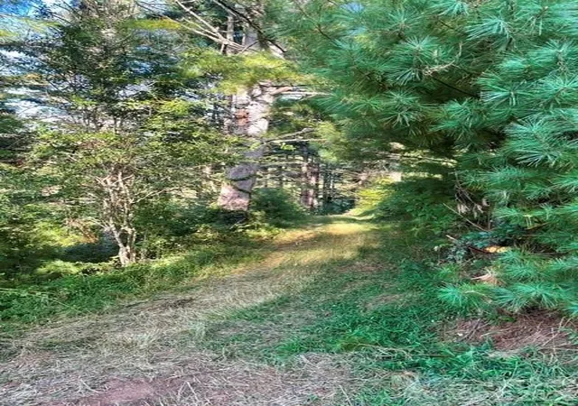 Photo 4 of Land for sale at 105 Roberts Branch Rd, Marshall, NC 28753 | MLS# 4413820 | Listing updated on 2026-09-02