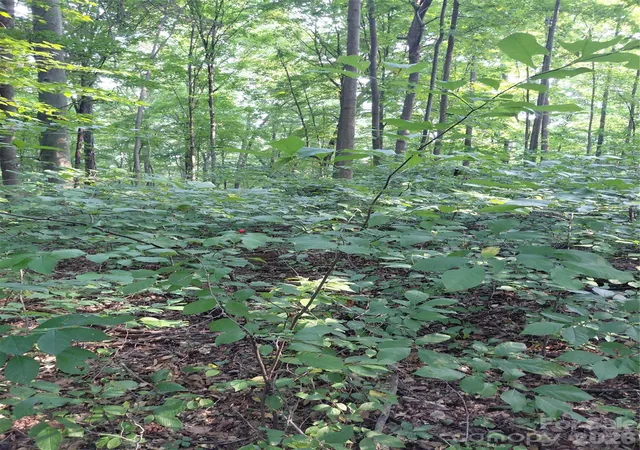 Photo 2 of Land for sale at 000 Stratton Farm Rd, Huntersville, NC 28078 | MLS# 4413826 | Listing updated on 2026-09-24