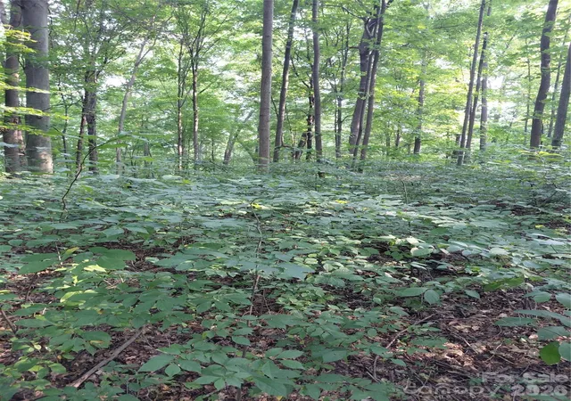 Photo 3 of Land for sale at 000 Stratton Farm Rd, Huntersville, NC 28078 | MLS# 4413826 | Listing updated on 2026-09-24