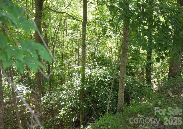 2nd image of 11 & 21 Sunset Ridge Dr #21 & 11, Columbus, NC 28722 | MLS# 4413831