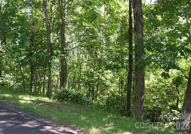 3rd image of 11 & 21 Sunset Ridge Dr #21 & 11, Columbus, NC 28722 | MLS# 4413831