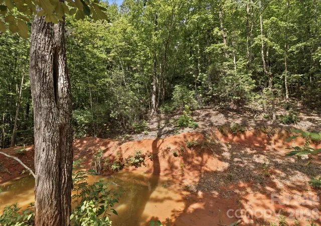 48th image of 464 Mason Rd, Ellenboro, NC 28040 | MLS# 4413857