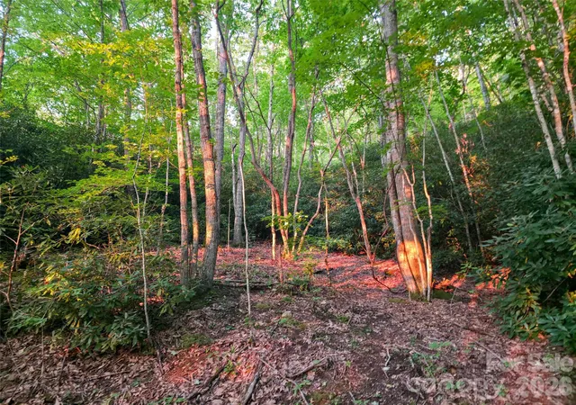 Photo 4 of Land for sale at B1-b4 Anglers Ridge, Waynesville, NC 28786 | MLS# 4413904 | Listing updated on 2026-08-12