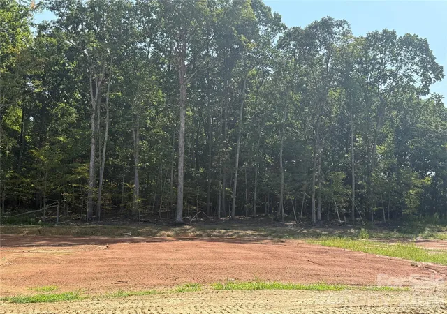 9th image of 508 Deodar Cedar Dr, Matthews, NC 28104 | MLS# 4413960