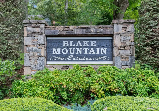 47th image of 105 Galloway Dr, Asheville, NC 28803 | MLS# 4413973