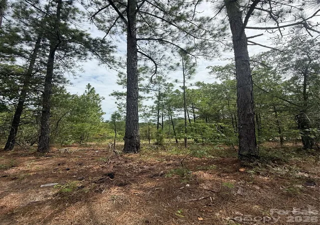 Photo 1 of Land for sale at Tbd Sheridan Oliver Rd, Ruby, SC 29741 | MLS# 4413996 | Listing updated on 2026-08-20