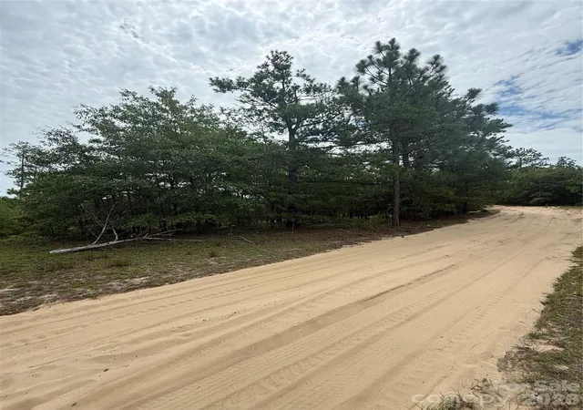 Photo 3 of Land for sale at Tbd Sheridan Oliver Rd, Ruby, SC 29741 | MLS# 4413996 | Listing updated on 2026-08-20
