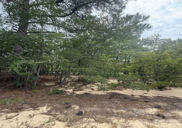 Photo 4 of Land for sale at Tbd Sheridan Oliver Rd, Ruby, SC 29741 | MLS# 4413996 | Listing updated on 2026-08-20