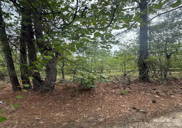 Photo 5 of Land for sale at Tbd Sheridan Oliver Rd, Ruby, SC 29741 | MLS# 4413996 | Listing updated on 2026-08-20