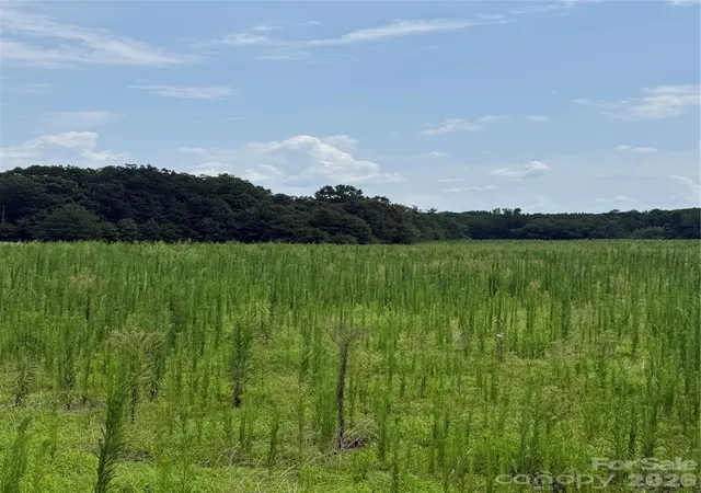 Photo 4 of Land for sale at 295+/-ac Neal Rd #LOT 13, Bessemer City, NC 28016 | MLS# 4414052 | Listing updated on 2026-08-20