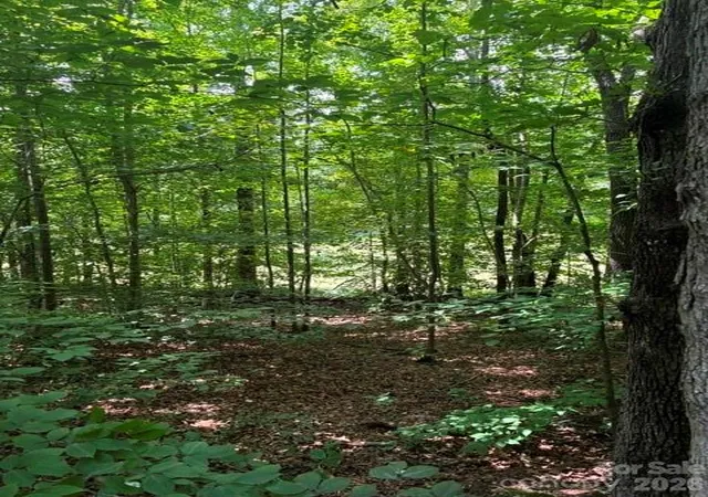 Photo 1 of Land for sale at 0 Moss Dr #71, Rutherfordton, NC 28139 | MLS# 4414063 | Listing updated on 2026-09-25