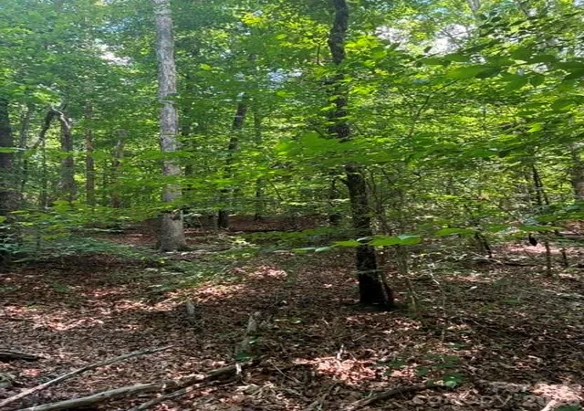 Photo 2 of Land for sale at 0 Moss Dr #71, Rutherfordton, NC 28139 | MLS# 4414063 | Listing updated on 2026-09-25